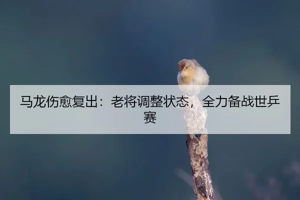 ma-long-shang-yu-fu-chu-lao-jiang-tiao-zheng-zhuang-tai-quan-li-bei-zhan-shi-ping-sai-2-776.jpg