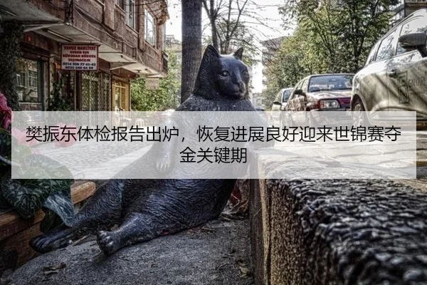 樊振东体检报告出炉，恢复进展良好迎来世锦赛夺金关键期