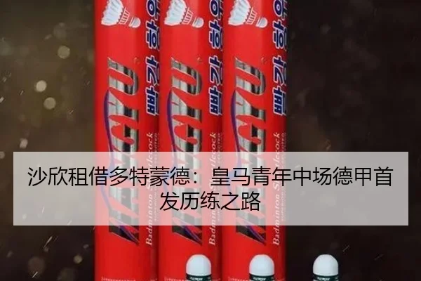沙欣租借多特蒙德：皇马青年中场德甲首发历练之路